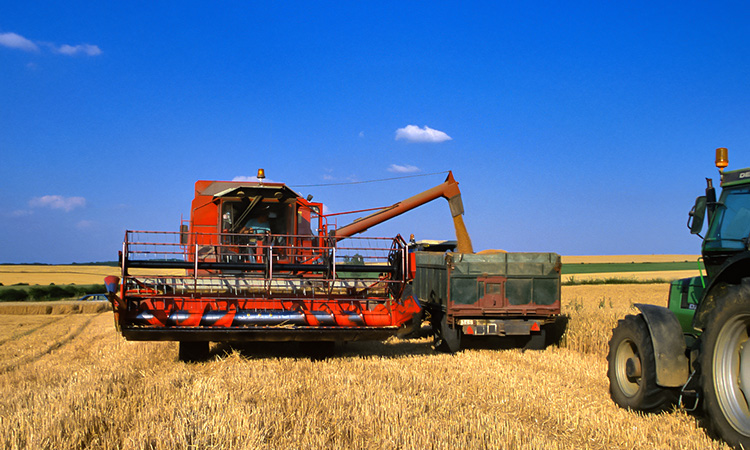 Fabrication du pain - Du grain de blé à la moisson - 10mn 30s